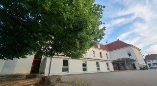 Steinheim: Rettung für die Linde beim Schulbau in Sicht