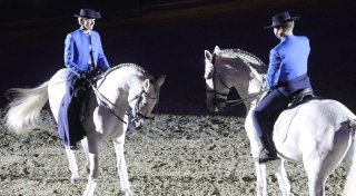 Mit Bildergalerie: Tausend Gäste feiern beim Gala-Abend des Pferdes in Herford