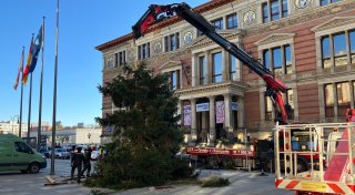 Weihnachtsbaum für Abgeordnetenhaus zerbricht - und nun?