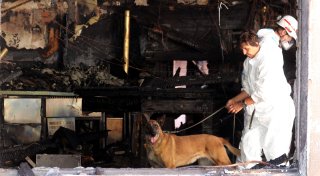 Großbrand in Brakeler Tischlerei: Spürhunde im Einsatz in der Ruine