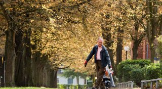 Herbstlaub entsorgen: Kann ich in Paderborn mein Laub in die Mülltonne werfen?