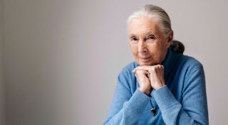 „Schimpansen-Mama” Jane Goodall ist tot