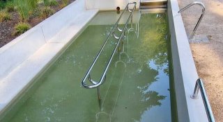 Stadt zahlt Geld an Graf für Wasser: Kneippbecken in Bad Driburg voller Algen