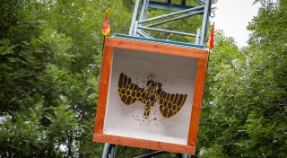 Schützenfeste 2025 im Kreis Paderborn: Alle Termine der Saison auf einen Blick
