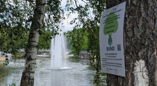Die Stadt Herford hat unter Bürgermeister Tim Kähler 235 geschützte Bäume gefällt