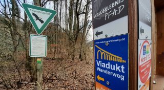 Tipps fürs Wandern im Herbst: Schöne Waldwege im Kreis Paderborn