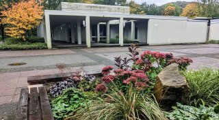 Schlechte Noten für Bad Driburgs Friedhöfe