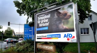 Aus diesen Gründen haben Wähler in Herford ihre Stimme der AfD gegeben