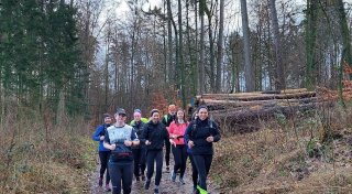 Vorbereitung auf den Hermannslauf: Wo es in OWL Laufgruppen gibt