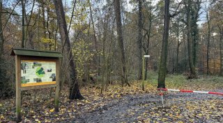 Unerlaubtes Pilzesammeln: Förster aus Kreis Gütersloh verärgert über Waldbesucher
