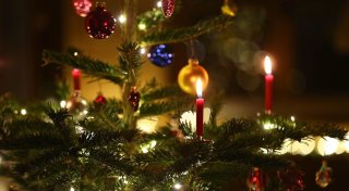Früher war später Lametta - zeigt eine Tannenbaum-Umfrage