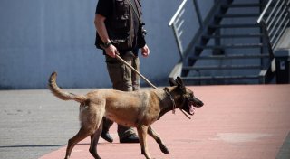 Fahndung nach Bombendrohung gegen Disco Naava: Spur führt nach Hiddenhausen
