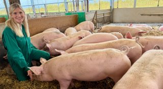 Unternehmen Tönnies aus dem Kreis Gütersloh will Millionen für mehr Tierwohl investieren