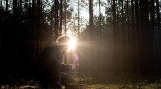 Radioaktives Cäsium-137: Wie belastet sind Pilze im Wald?