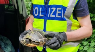 Paderborner Bundespolizei rettet zwei Vierbeiner an einem Tag das Leben