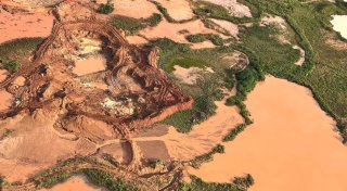 Schlag gegen Goldabbau im Amazonas: Hunderte Bagger zerstört