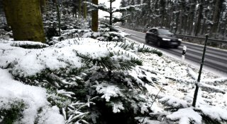 Schneefall in Mittelgebirgen und Alpen