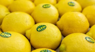 Bio-Lebensmittel sind so gefragt wie nie