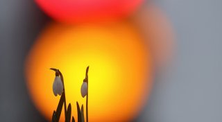 Frühlingshafter Wochenbeginn in vielen Teilen Deutschlands