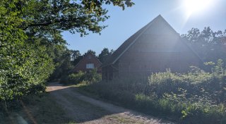 44 Hunde darunter: Tiere in Porta aus katastrophalen Zuständen befreit