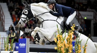 Springreiter Dreher triumphiert bei Weltcup in Mechelen