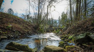 Umweltschützer warnen: Vergiftung eines Bielefelder Bachs schadet Trinkwasser