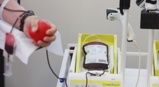 DRK: Generationenwechsel bei Blutspendern steht an