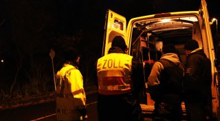 Kampfhund soll vom Koks ablenken - Zollfahnder fallen nicht drauf rein