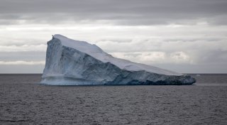 Forscher: Antarktis vor einem Kipppunkt - Pinguine bedroht