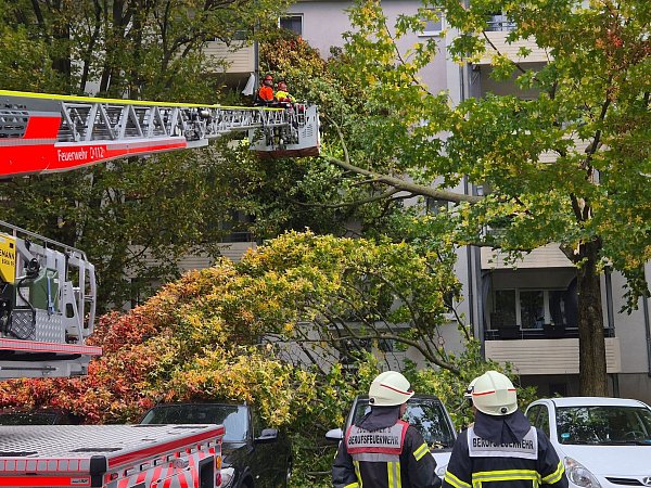 Einsatzkräfte entfernen einen Baum, der am Donnerstag in ein Haus in Köln gestürzt ist. - © Sascha Thelen/dpa