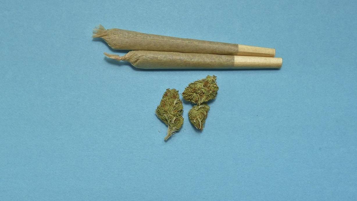 In Herford stand ein Mann vor Gericht, der sich selbst mit seinem selbst angebauten Marihuana helfen wollte. | © Pixabay