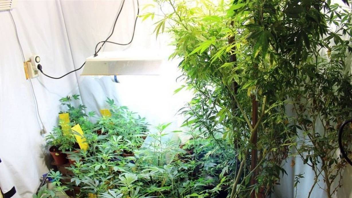 Bei einer Hausdurchsuchungen in Minden-Meißen wurden die Ermittler fündig. | © Polizei