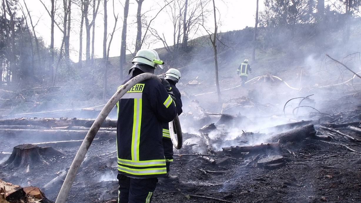 Immer wieder muss die Feuewehr im Sommer Waldbr&auml;nde l&auml;schen. | 