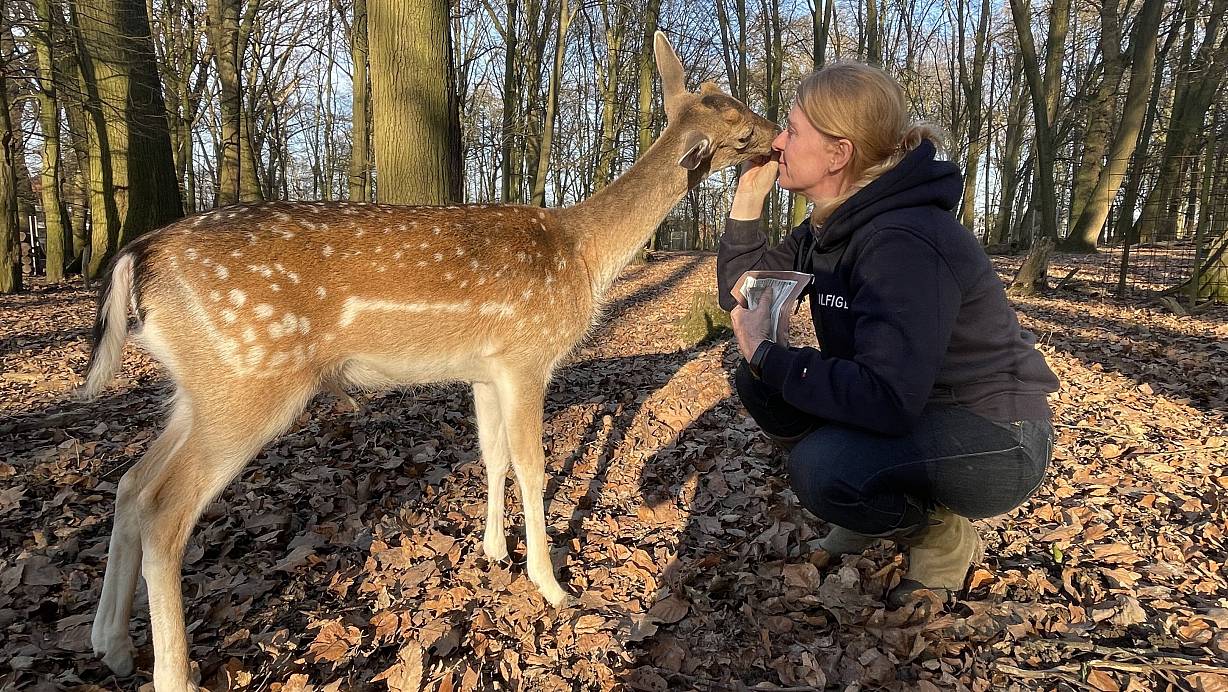 Das Foto zeigt, dass zwischen Linus und seiner Ziehmutter Nicole Gröger von Anfang an eine innige Liebe herrscht. | © Elke Niedringhaus-Haasper