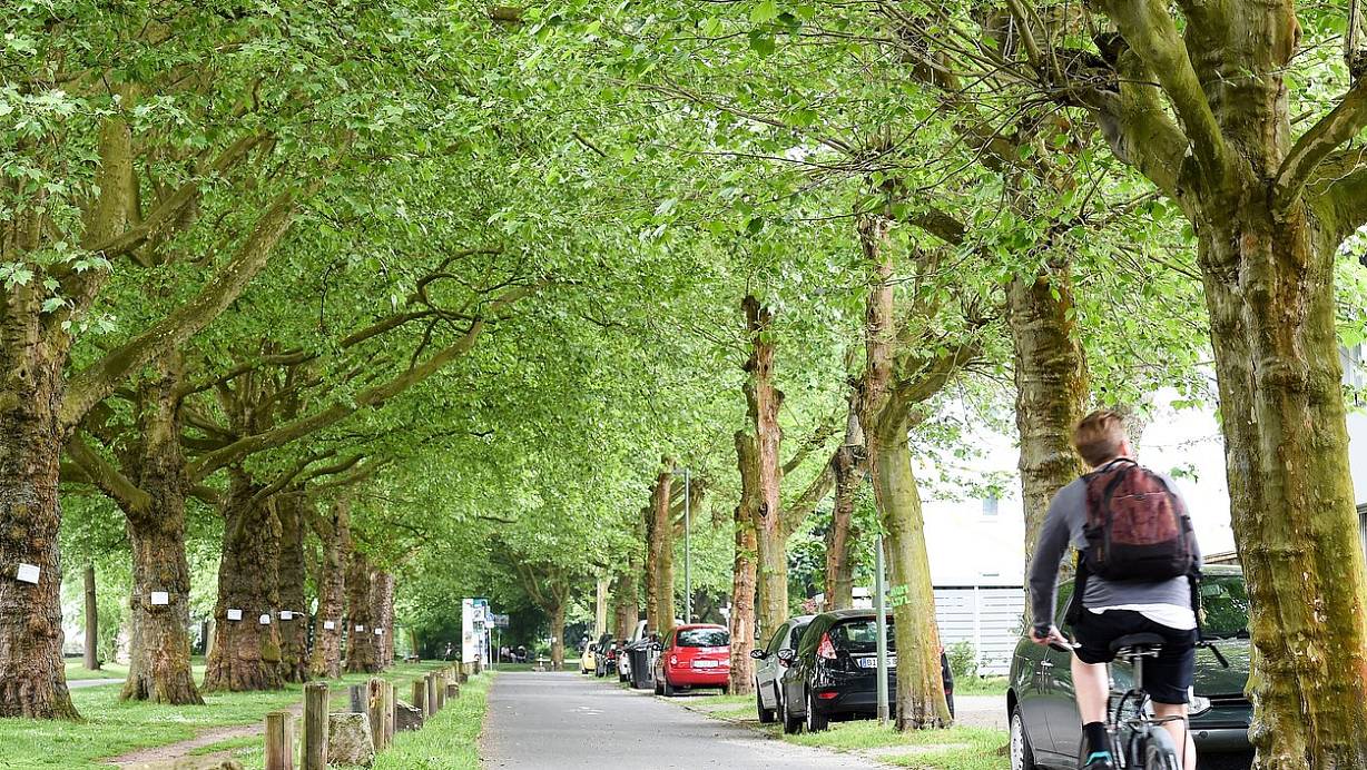 Jetzt ist es beschlossen: Die Stadt zahlt 320.000 Euro und an der Ravensberger Straße wird weiter an der offenen Lutter gearbeitet. | © Archivfoto Christian Weische