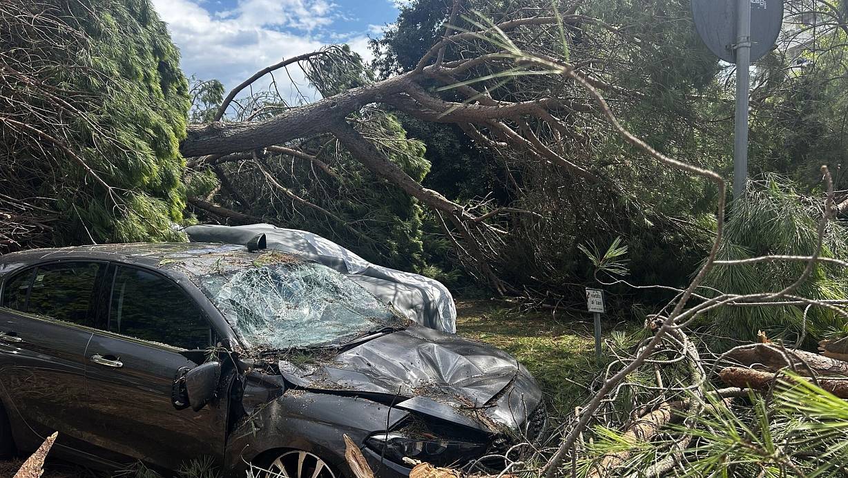 Das Unwetter richtete erheblichen Sachschaden an. | © Alessio Marini/LPS via ZUMA Press Wire/dpa