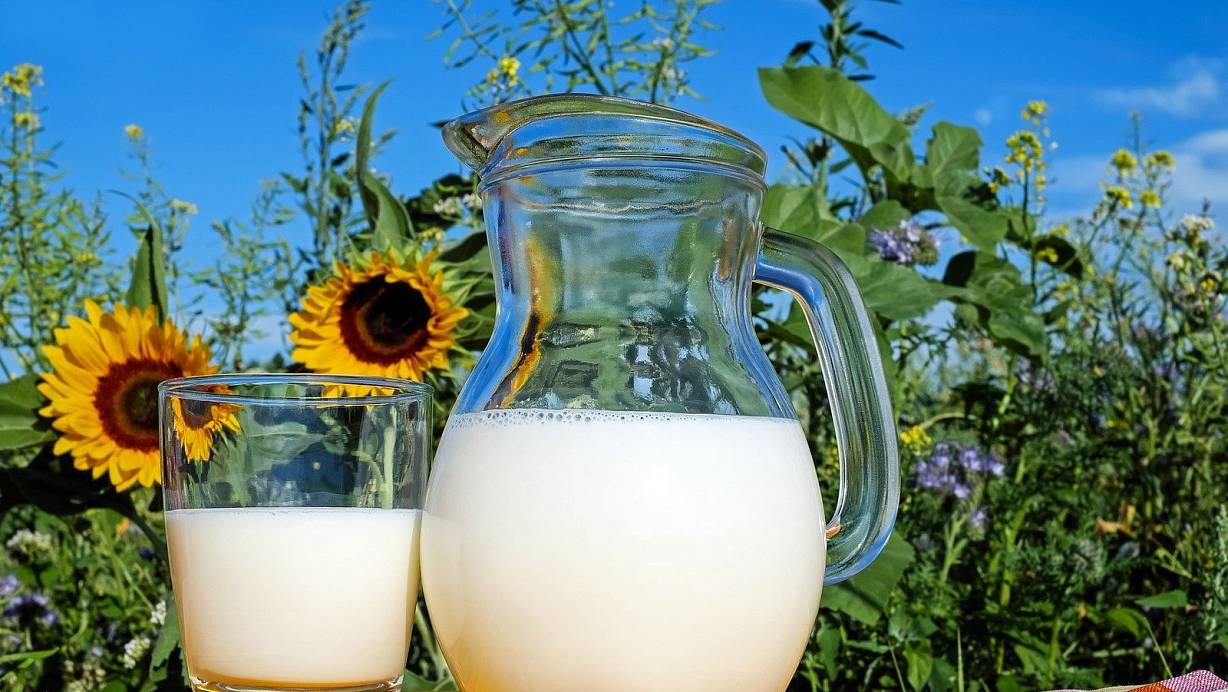 Was löst Milch im menschlichen Körper eigentlich aus - darüber wird erbittert gestritten. | © Pixabay