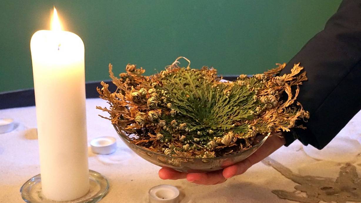 die Rose von Jerusalem in der Nähe des Eingangs | © Michael Grundmeier