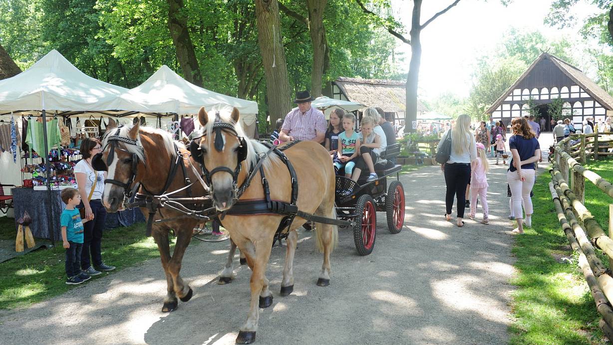 Immer wieder schön: Viele Gäste genossen eine sommerliche Kutschfahrt in Museumsnähe. | © Joern Spreen-Ledebur
