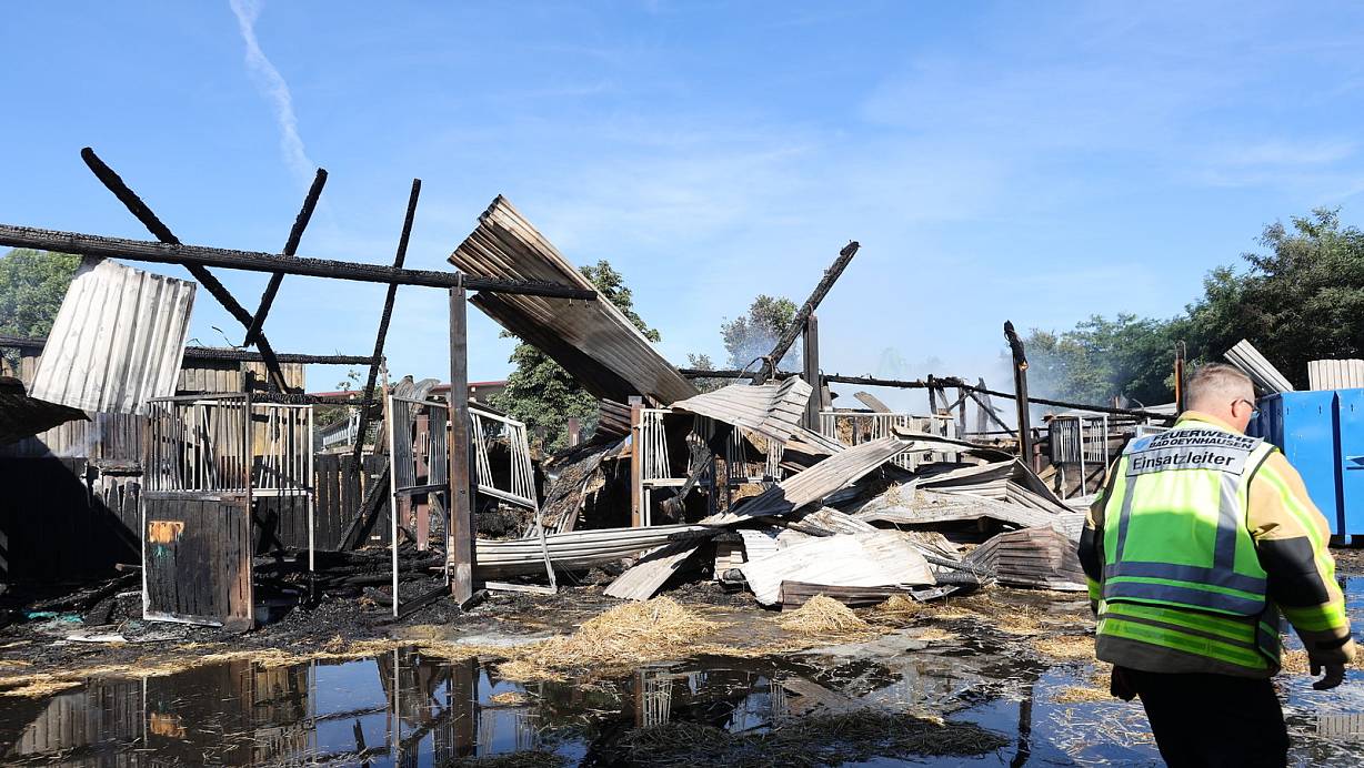 Von dem Reitstall, in dem sieben Pferde untergebracht waren, sind nur noch Reste zu erkennen. | © Nicole Sielermann