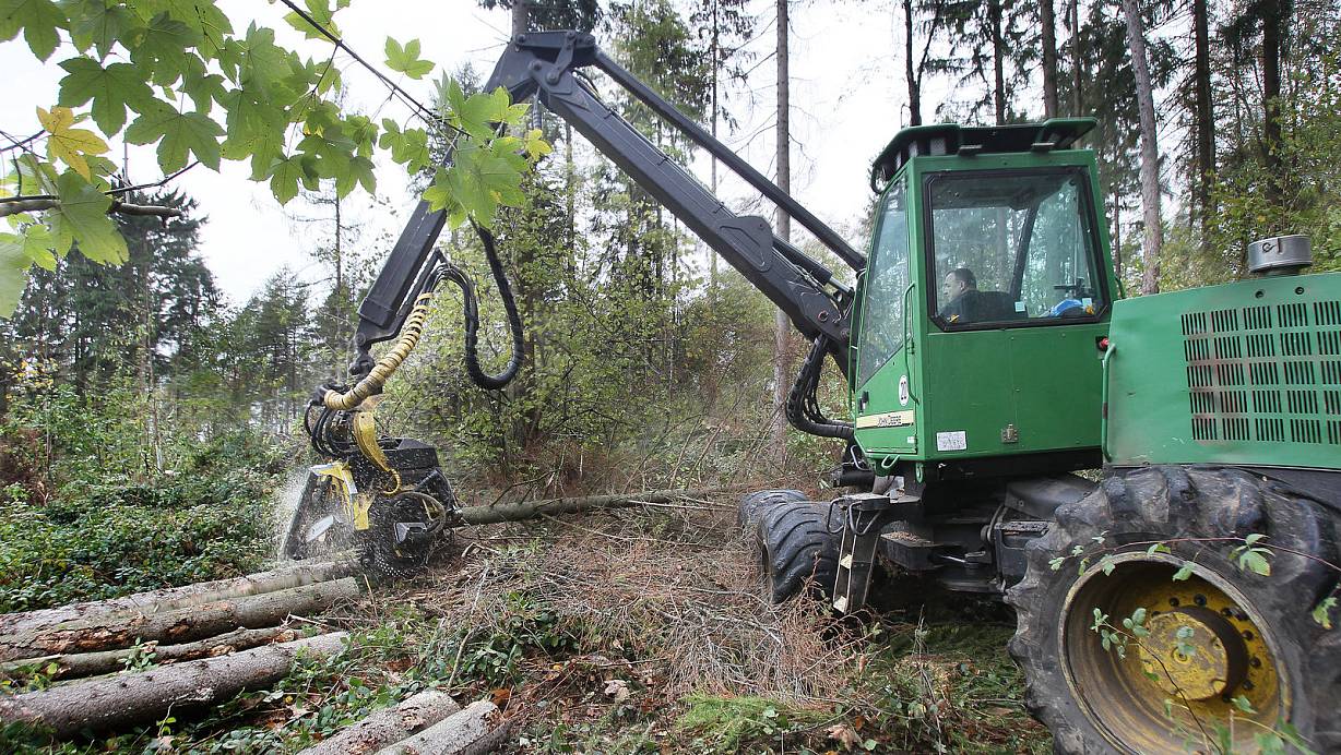 Harvester: Der Holzvollernter sägt Fichten, die der Laie für gesund halten könnte. Sie sind aber schon vom Borkenkäfer befallen. | © Frank-Michael Kiel-Steinkamp