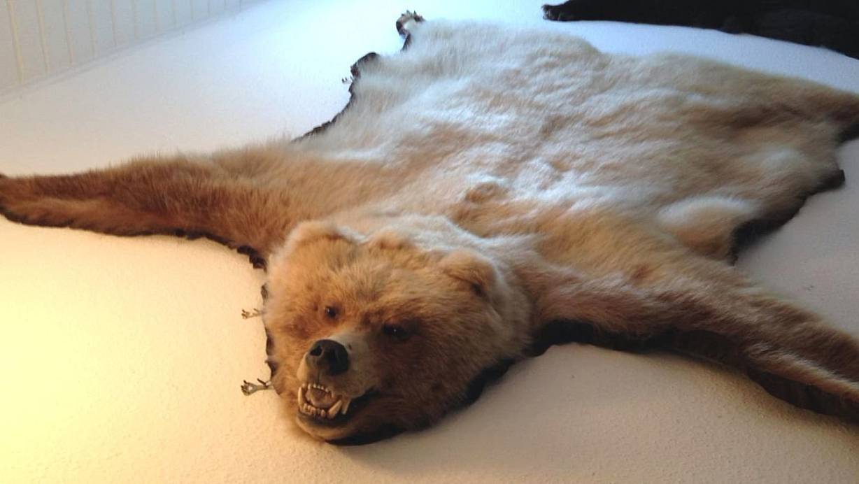 So sieht das gestohlene Bärenfell aus. | © Polizei Minden-Lübbecke