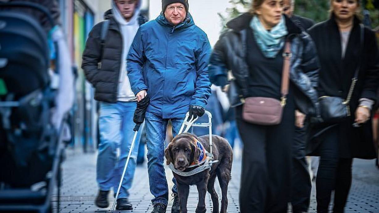 Was Andreas Bruder aus seinem Alltag mit Assistenzhund berichtet, macht nachdenklich. | © Sarah Jonek