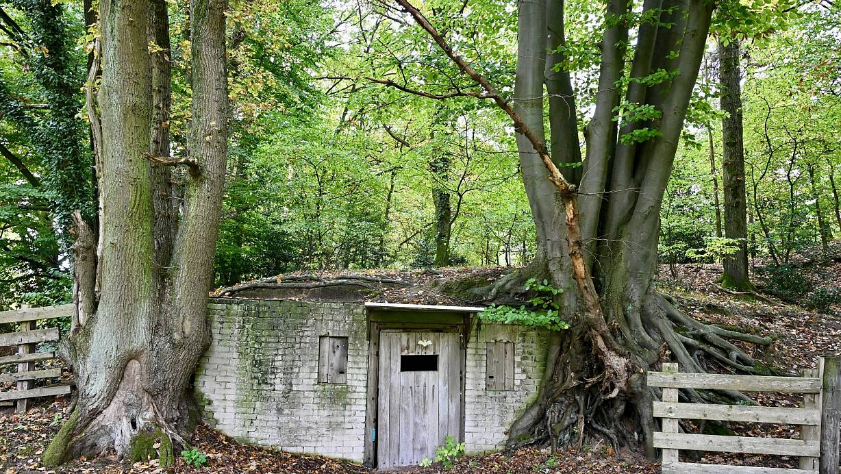 Das ist wohl der letzte Luftschutzbunker aus dem Zweiten Weltkrieg in Harsewinkel im Kreis Gütersloh. | © Wolfgang Wotke