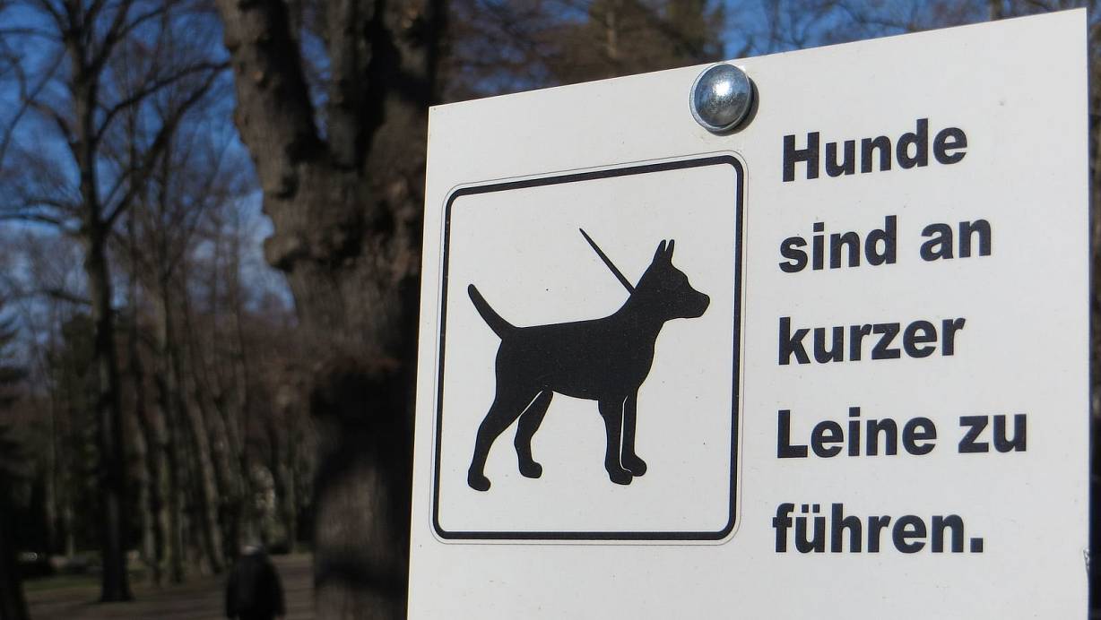 Würde man einen Hund an der kurzen Leine halten, würde er abhauen, sobald es ginge, sagt "MontanaBlack". | © picture alliance/dpa-Zentralbild