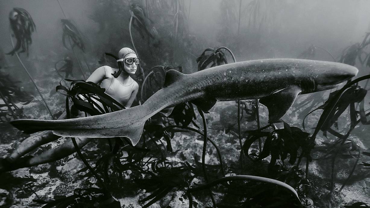 Zauberhafter Unterwasserwald: Apnoetaucherin Hanli beim Spaziergang mit einem Hai im Meer bei Kapstadt. | © FOTO: ELISABETH SANDMANN VERLAG / J.-M. GHISLAIN