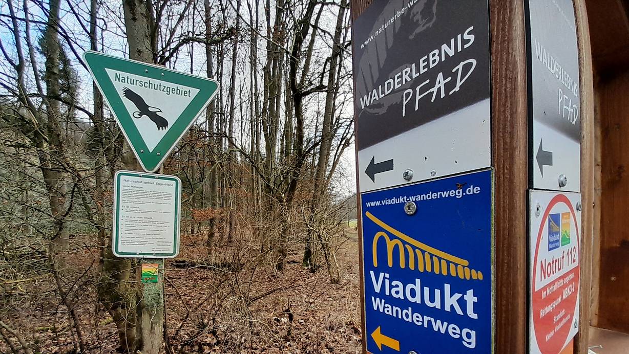 Im Kreis Paderborn gibt es viele Wege zum Wandern im Herbst. Neben verschiedenen Laubwäldern gibt es auch lange Wanderwege, unter anderem durchs Eggegebirge. | © Uwe Müller/Archivbild