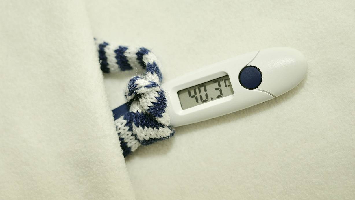 Von einer Influenza-Welle kann derzeit im Kreis Höxter nicht gesprochen werden. | © (Symbolbild) Pixabay