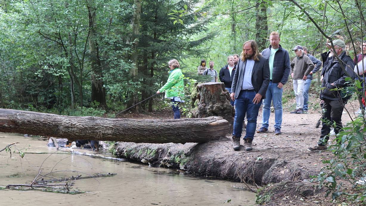 Als suche er in dem Furlbach die Antwort auf die Frage, wann der Truppenübungsplatz Teil des Nationalparks Senne wird, blickt Anton Hofreiter schweigend in den Bachlauf. Der Truppenübungsplatz beginnt auf der anderen Seite. | © Sigurd Gringel