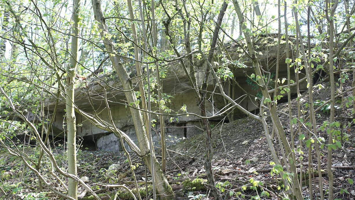 Die Natur holt sich diesen Lost Place in Borgholzhausen zurück. | © Andre Schneider